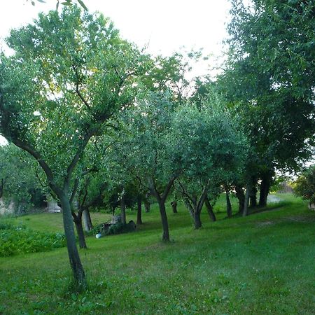 Agriturismo Lupo Bianco Монцамбано Екстер'єр фото